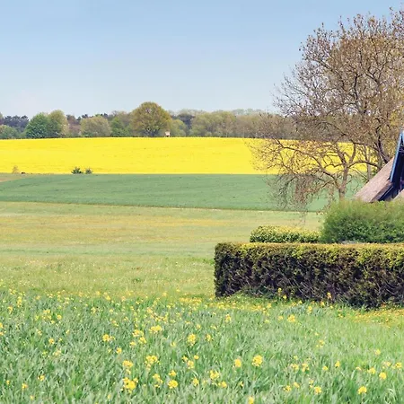 Reetdachhaus 8 Auf Usedom