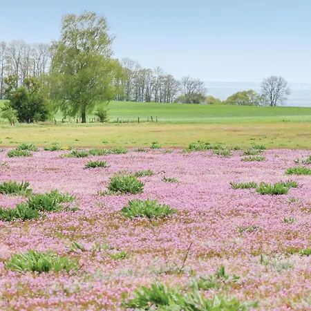 Reetdachhaus 8 Auf Usedom Prázdninový dům Garz (Usedom)