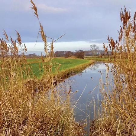 Prázdninový dům Reetdachhaus 8 Auf Usedom *