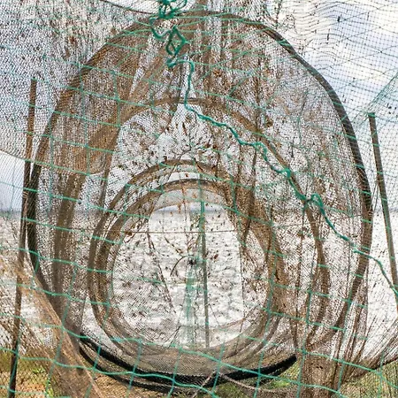 Reetdachhaus 8 Auf Usedom Garz (Usedom)