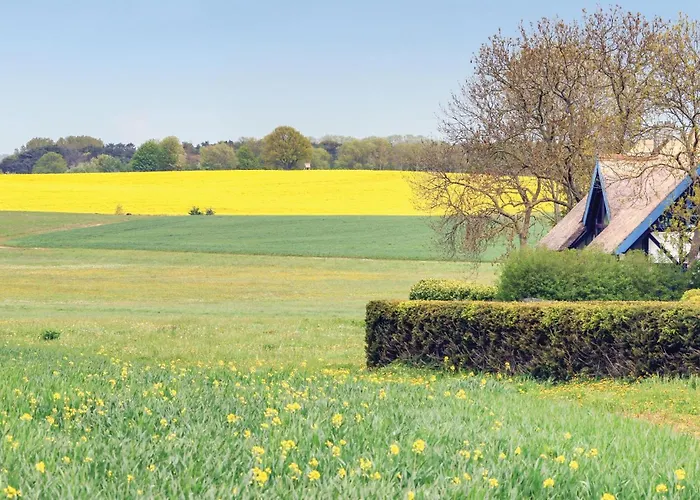 Reetdachhaus 8 Auf Usedom