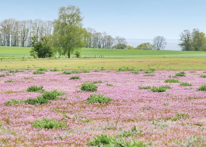 Reetdachhaus 8 Auf Usedom Дом отдыха Garz (Usedom)