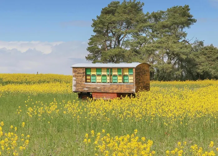 Reetdachhaus 8 Auf Usedom * Kutzow