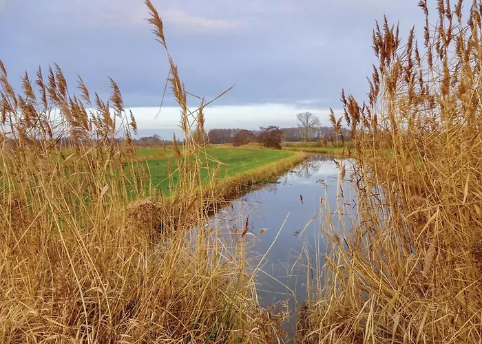 Дом отдыха Reetdachhaus 8 Auf Usedom *