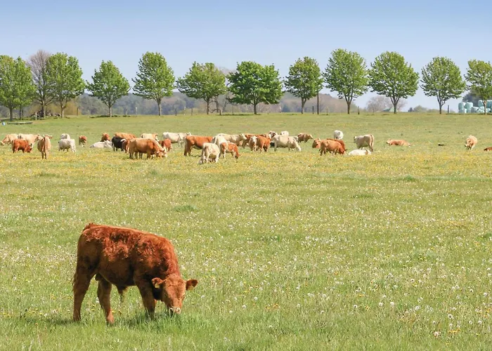 Reetdachhaus 8 Auf Usedom Casa vacanze Kutzow