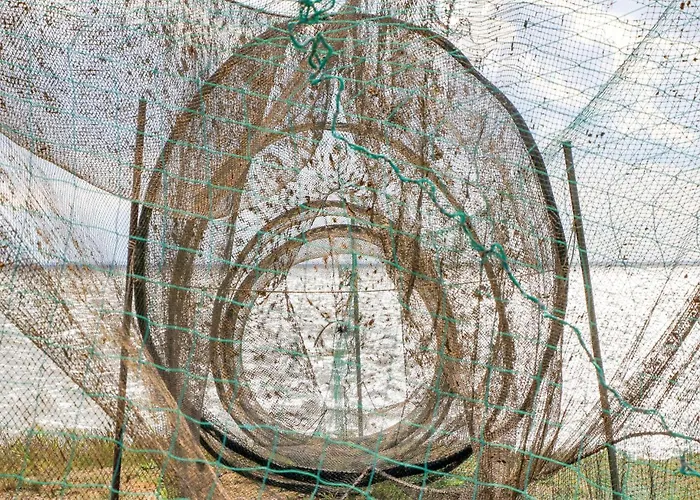 Reetdachhaus 8 Auf Usedom Kutzow